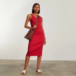 Everlane Ribbed Tank Dress